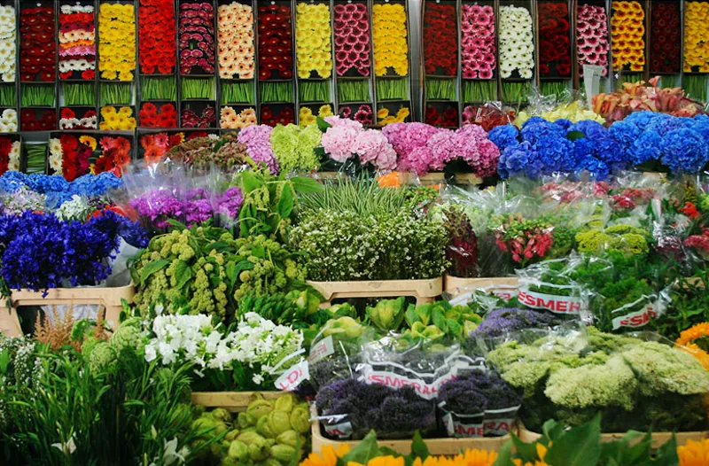 Оптовые поставки цветов по Казахстану